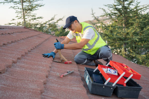 Roof Gutter Cleaning in Palmetto, FL